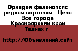 Орхидея фаленопсис редкая сортовая › Цена ­ 800 - Все города  »    . Красноярский край,Талнах г.